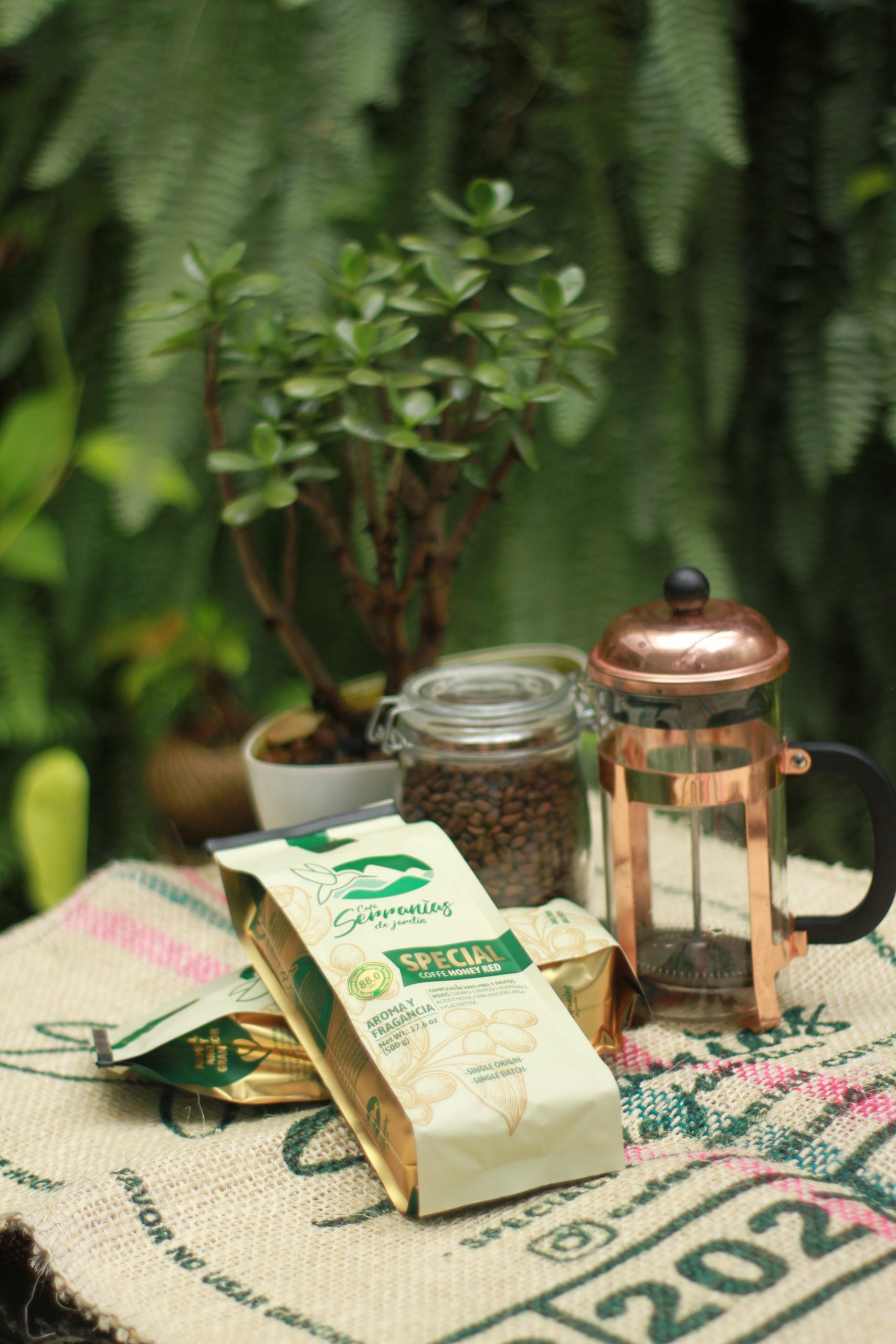 Serranias-coffee (14)