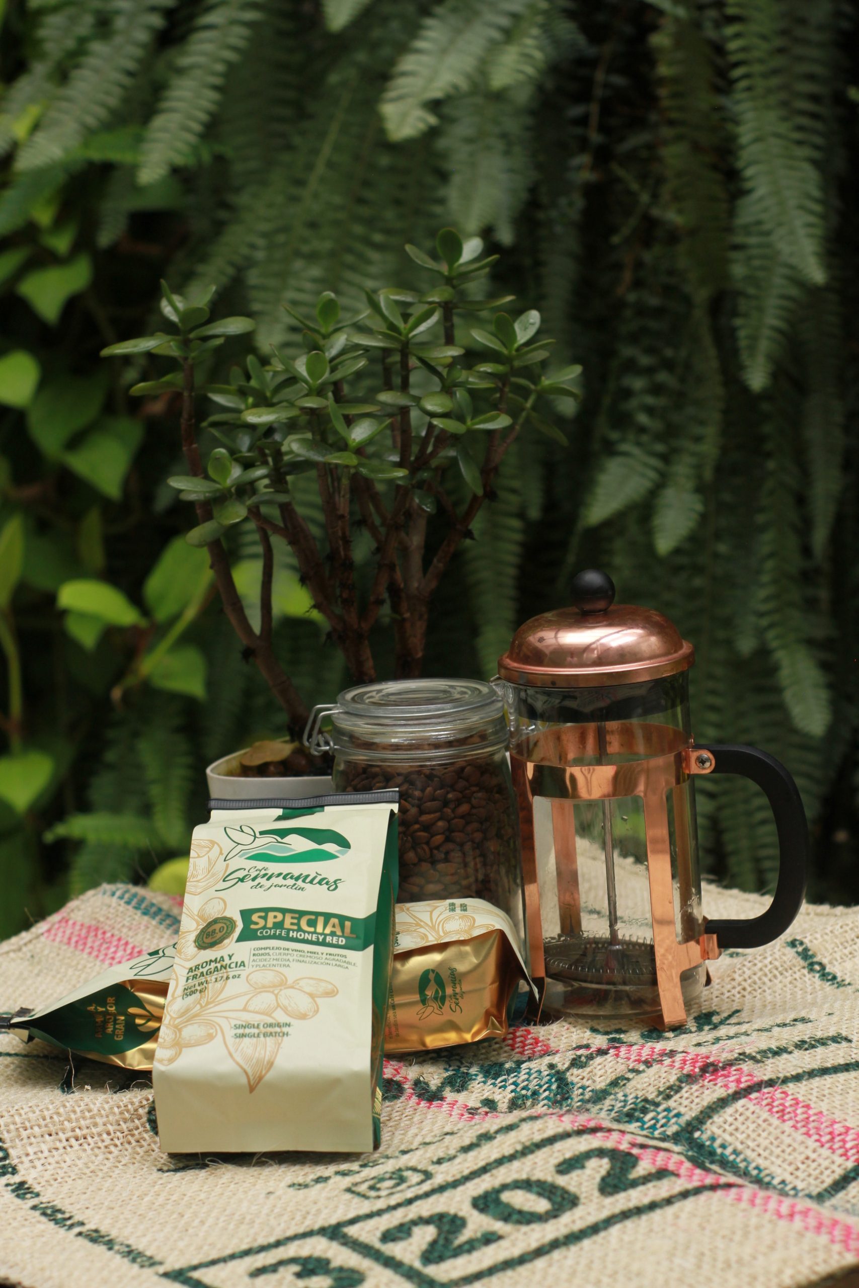 Serranias-coffee (15)