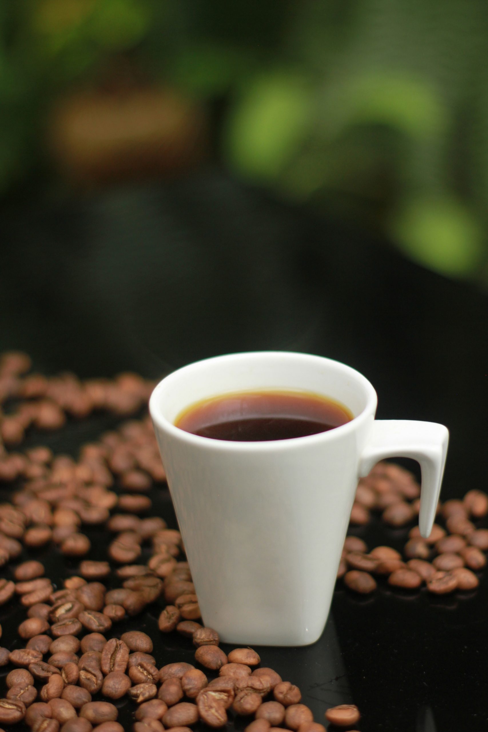Serranias-coffee (18)