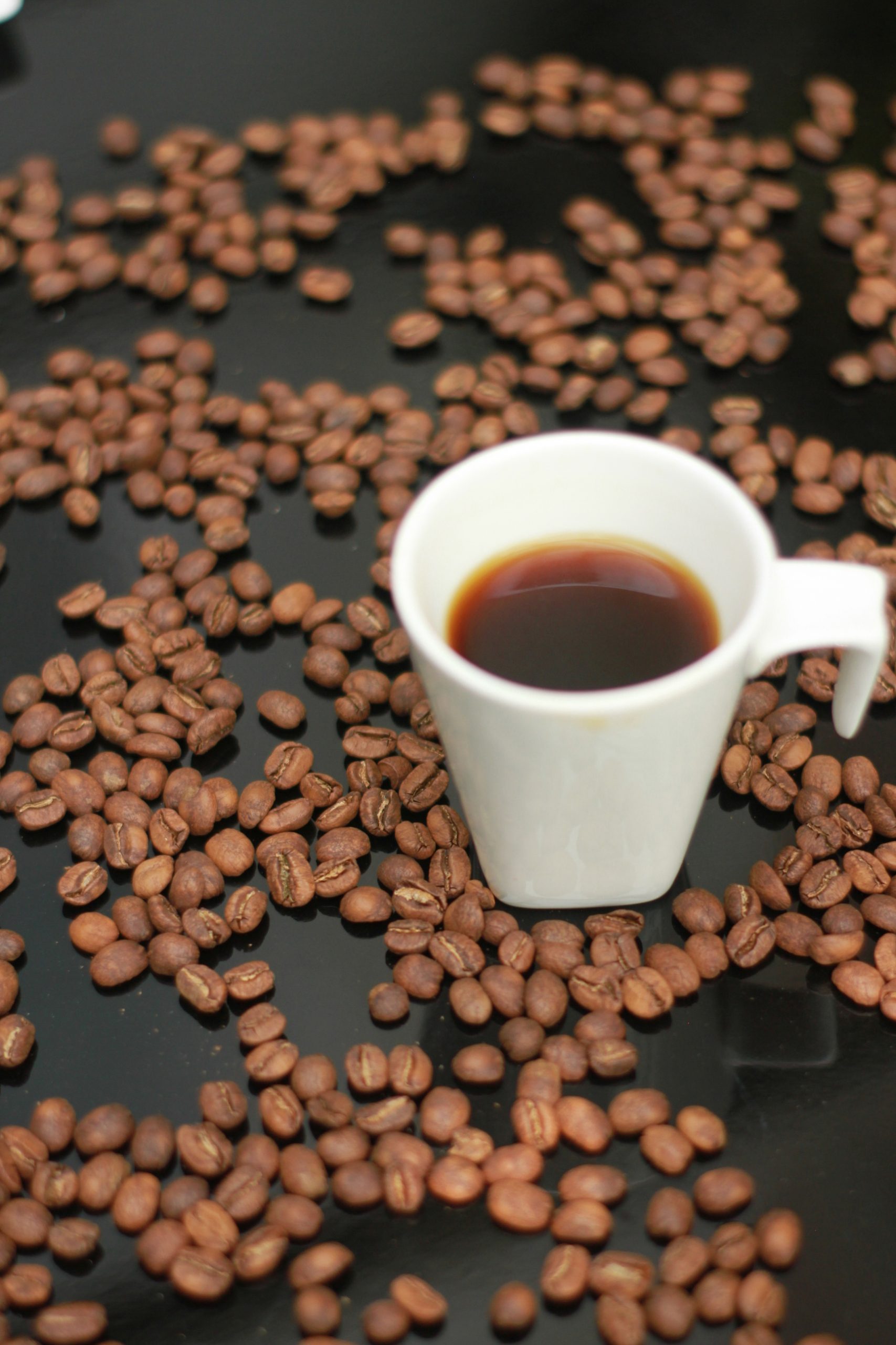 Serranias-coffee (21)